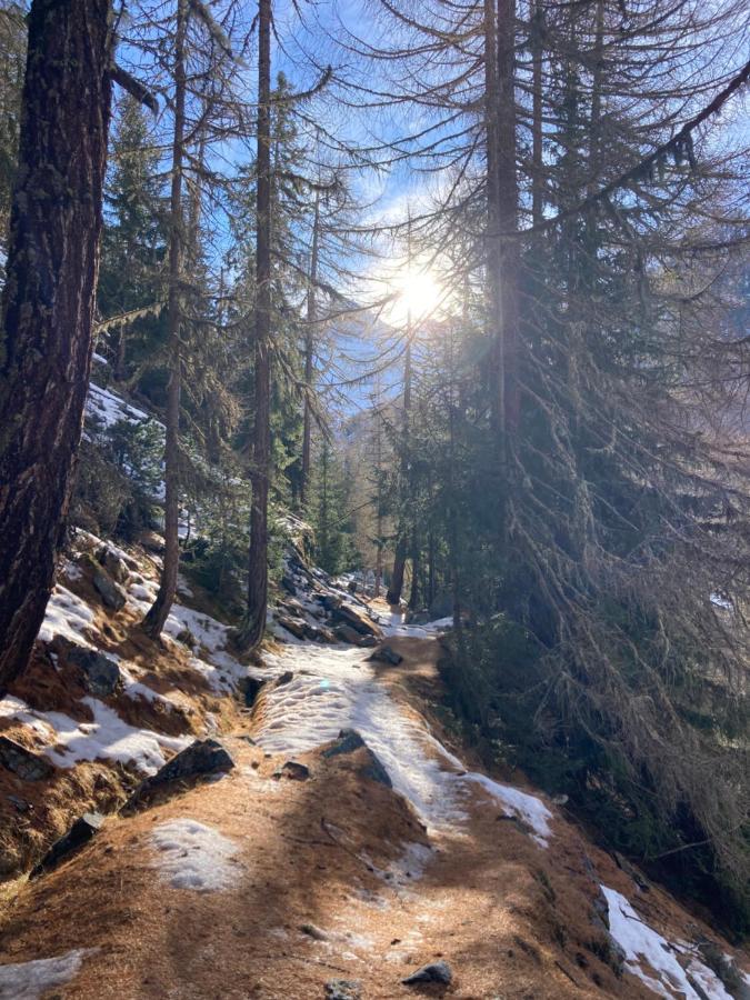 Panorama - Lovely Place In Nature Gasenried ภายนอก รูปภาพ